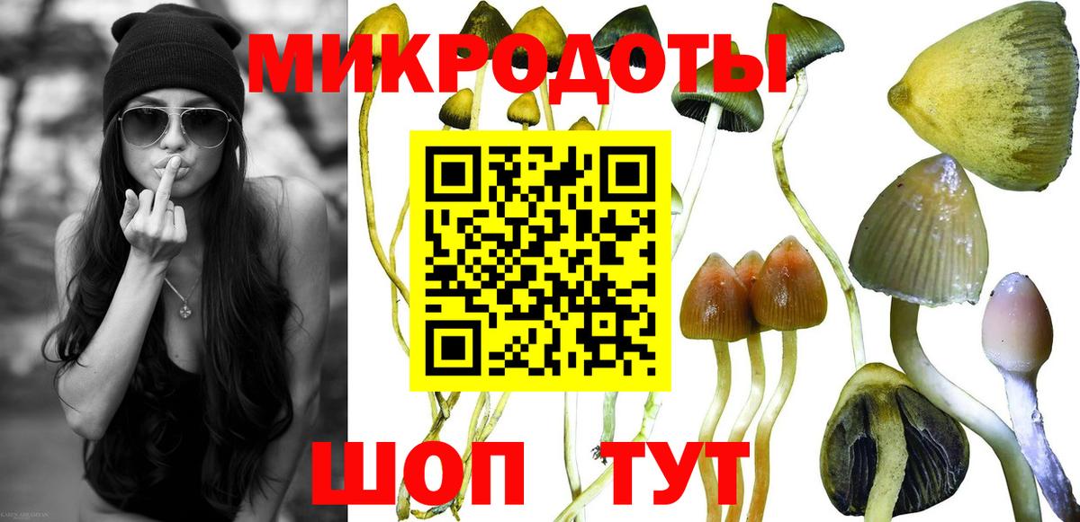 Верхняя Салда  Псилоцибиновые грибы Psilocybe  Псилоцибиновые грибы ЛСД  Вход с VPN 